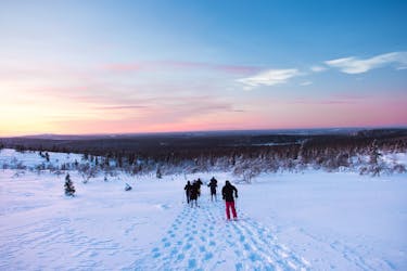 Snowshoeing tour to Särkitunturi fell